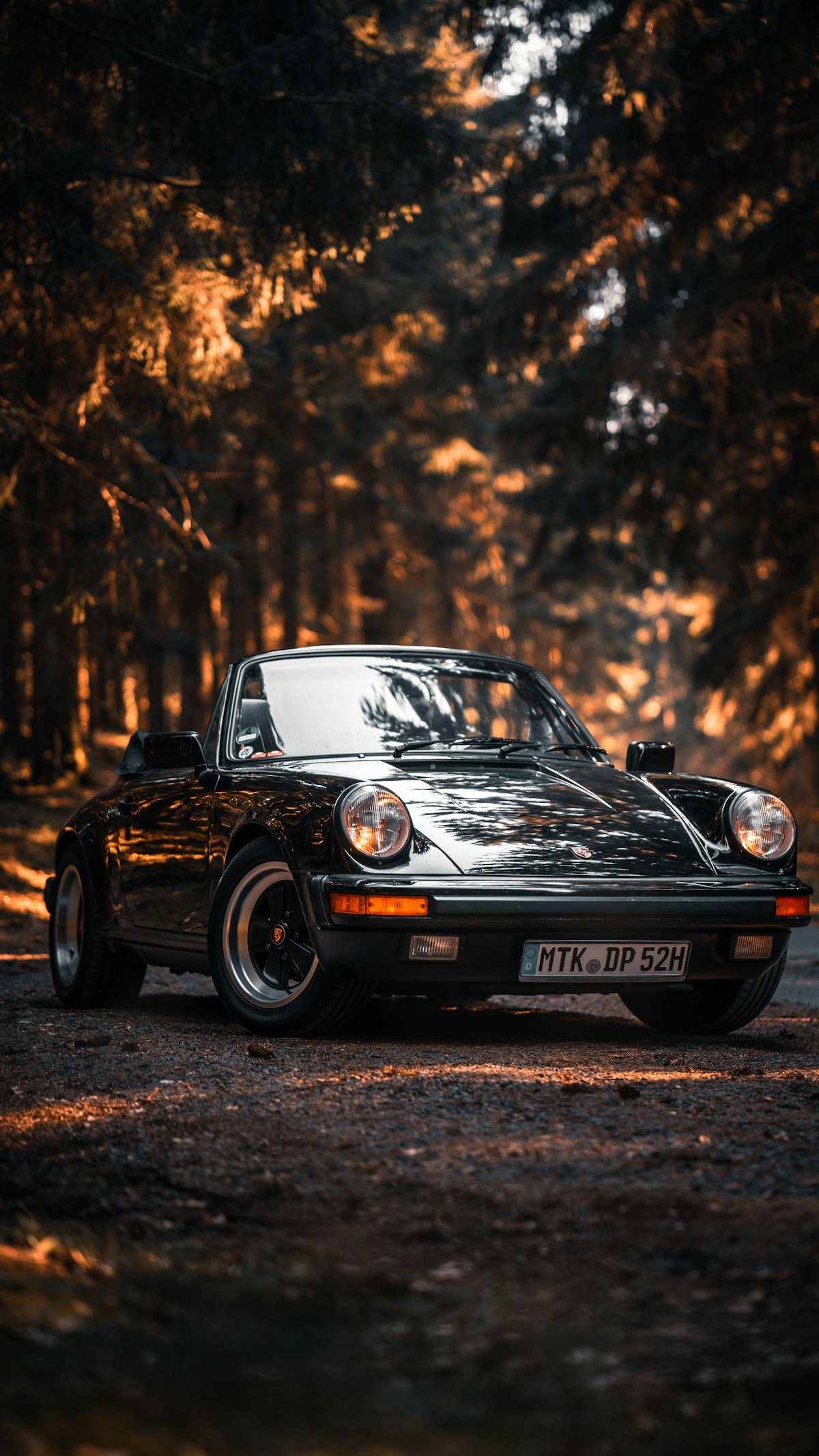 Porsche 911 de collection photographiée en sous-bois dans une lumière dorée